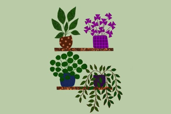 Decorative Plants: Enhancing Spaces with Beauty and Functionality