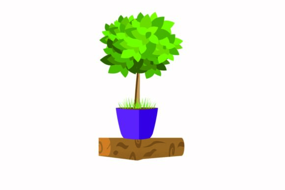 Decorative Plants for the Inside House: Strategic Use for Enhanced Living and Branding
