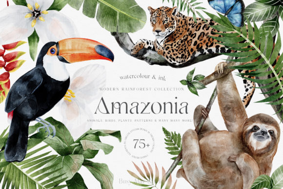 Modern Watercolor Rainforest Collection
