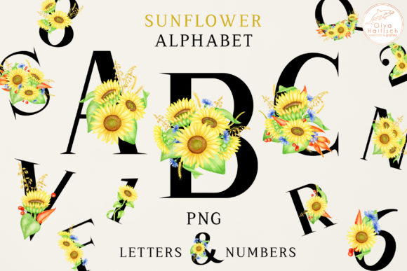Sunflower Alphabet Letters and Numbers PNG for Creative Projects